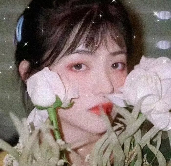 绝色追缉令